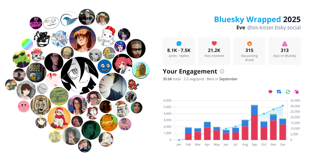 Your Bluesky Wrapped 2025 preview