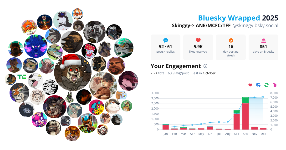 Your Bluesky Wrapped 2025 preview