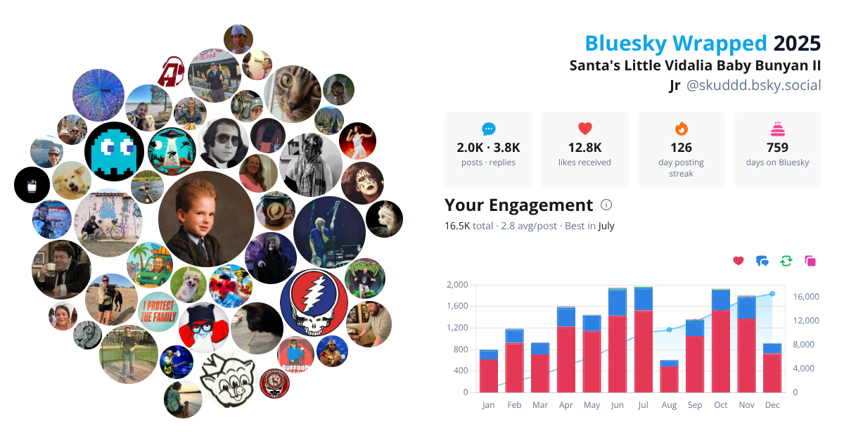 Your Bluesky Wrapped 2025 preview