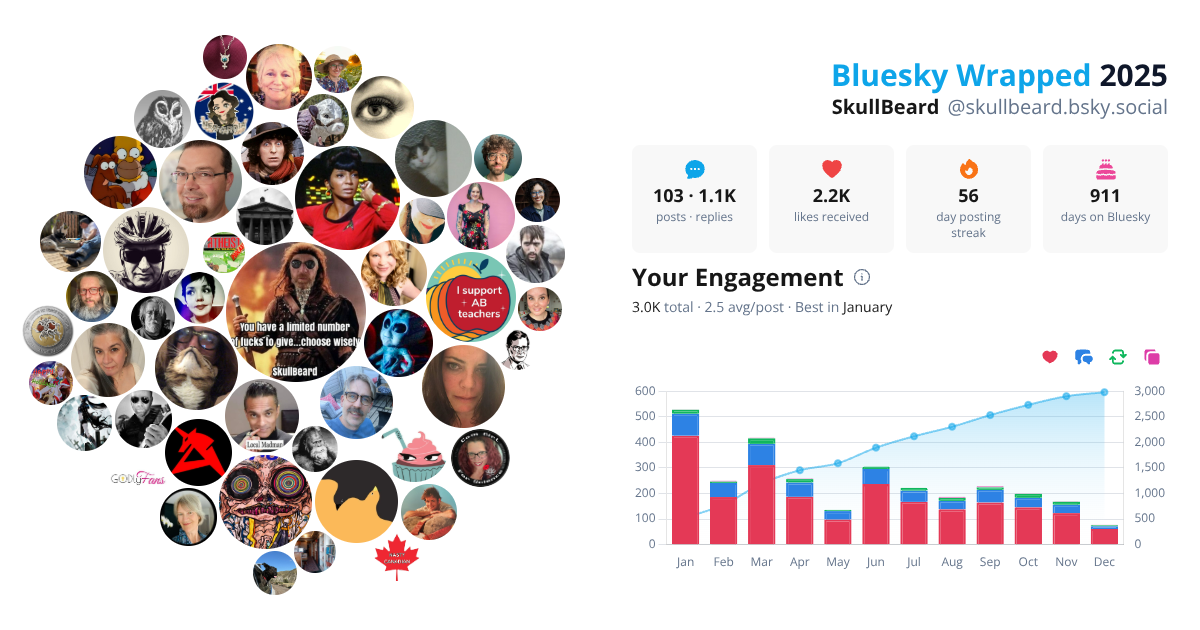 Your Bluesky Wrapped 2025 preview