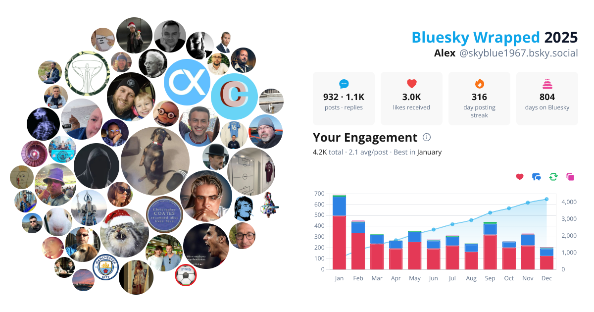 Your Bluesky Wrapped 2025 preview