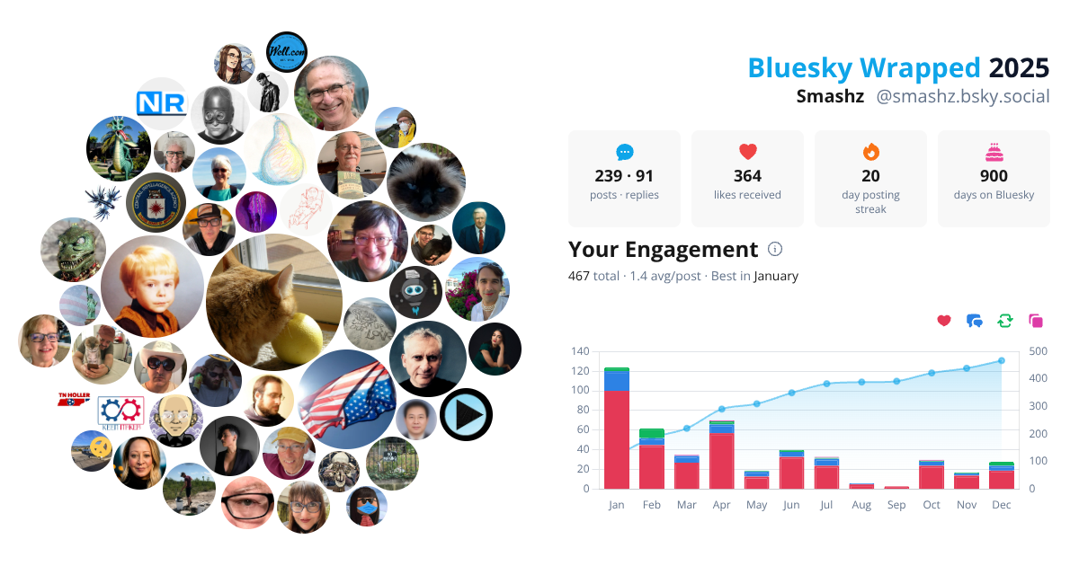 Your Bluesky Wrapped 2025 preview