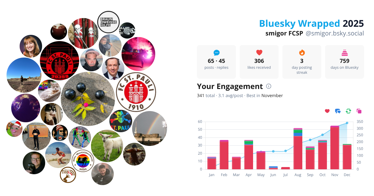 Your Bluesky Wrapped 2025 preview