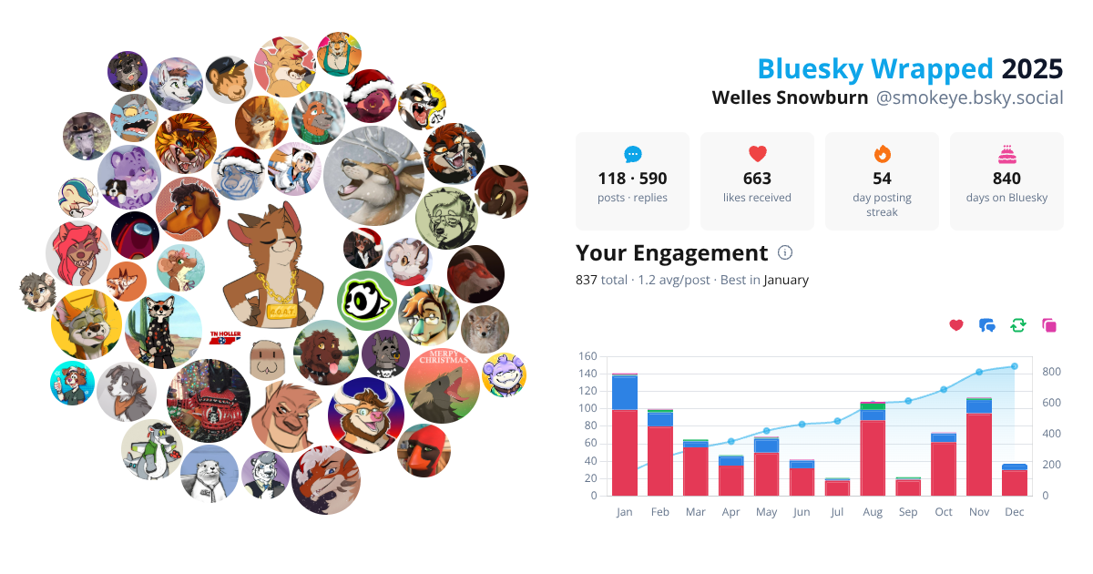 Your Bluesky Wrapped 2025 preview