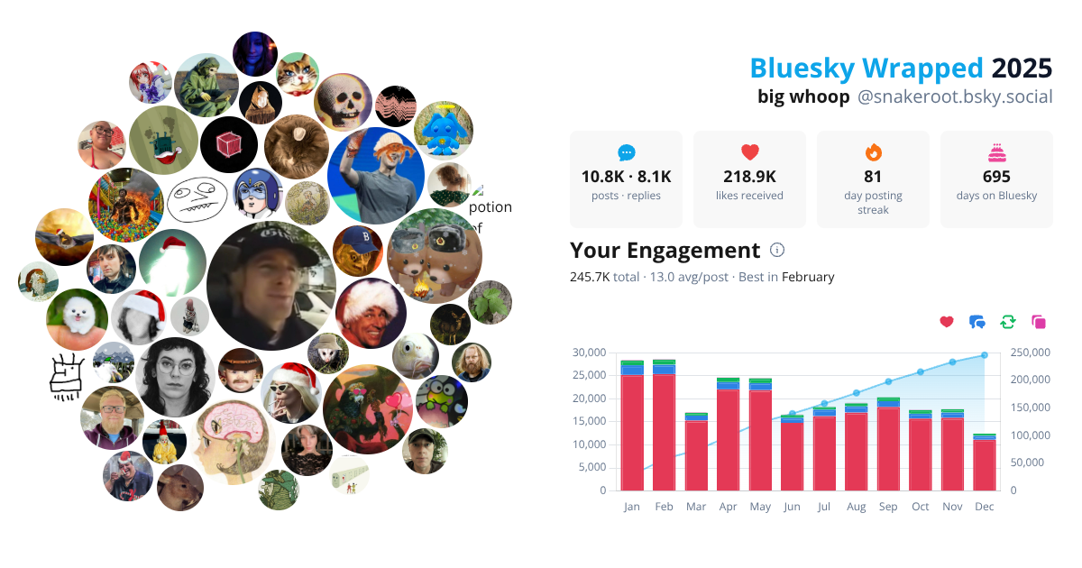 Your Bluesky Wrapped 2025 preview