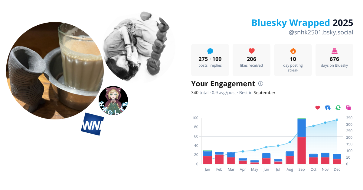 Your Bluesky Wrapped 2025 preview