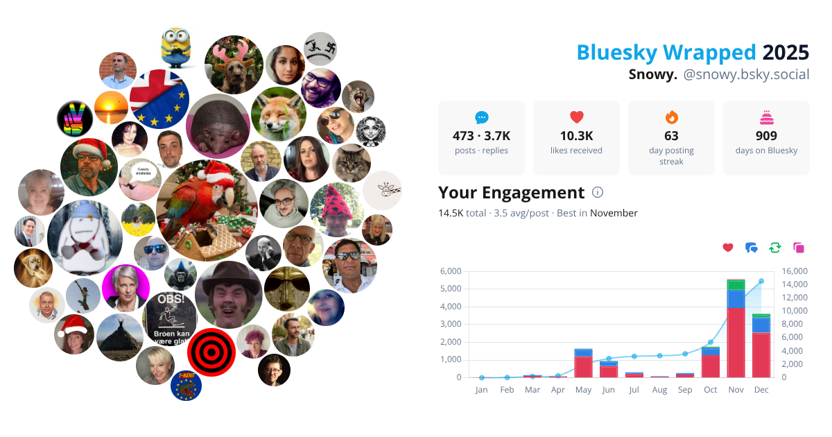 Your Bluesky Wrapped 2025 preview