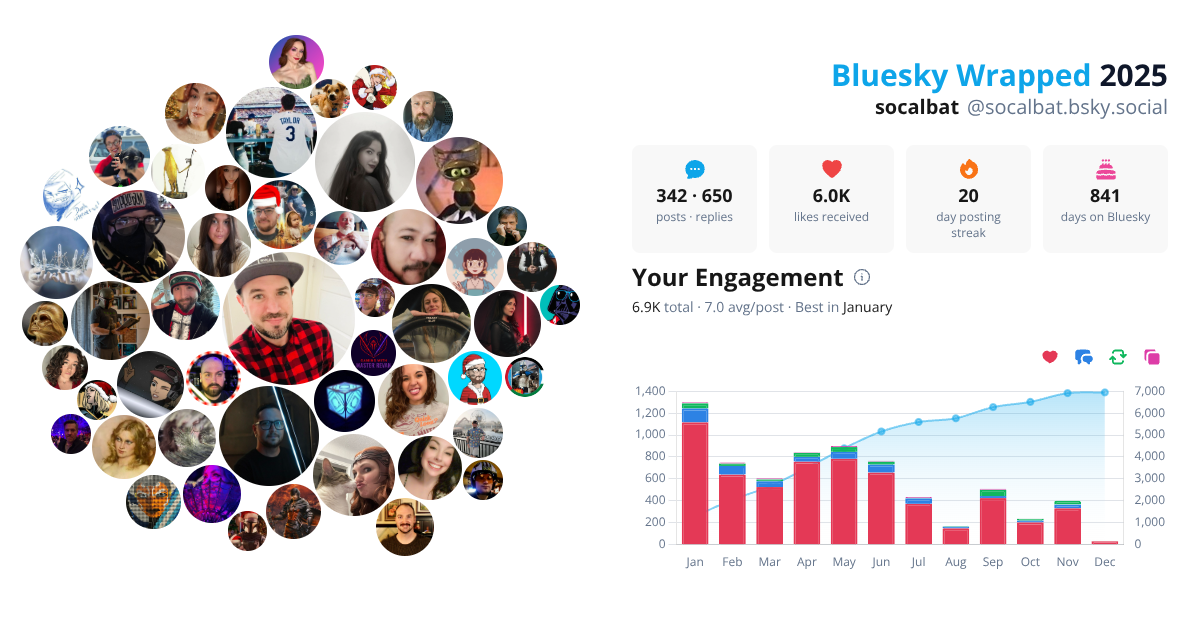 Your Bluesky Wrapped 2025 preview