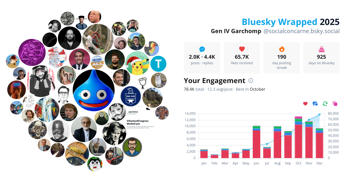 Your Bluesky Wrapped 2025 preview