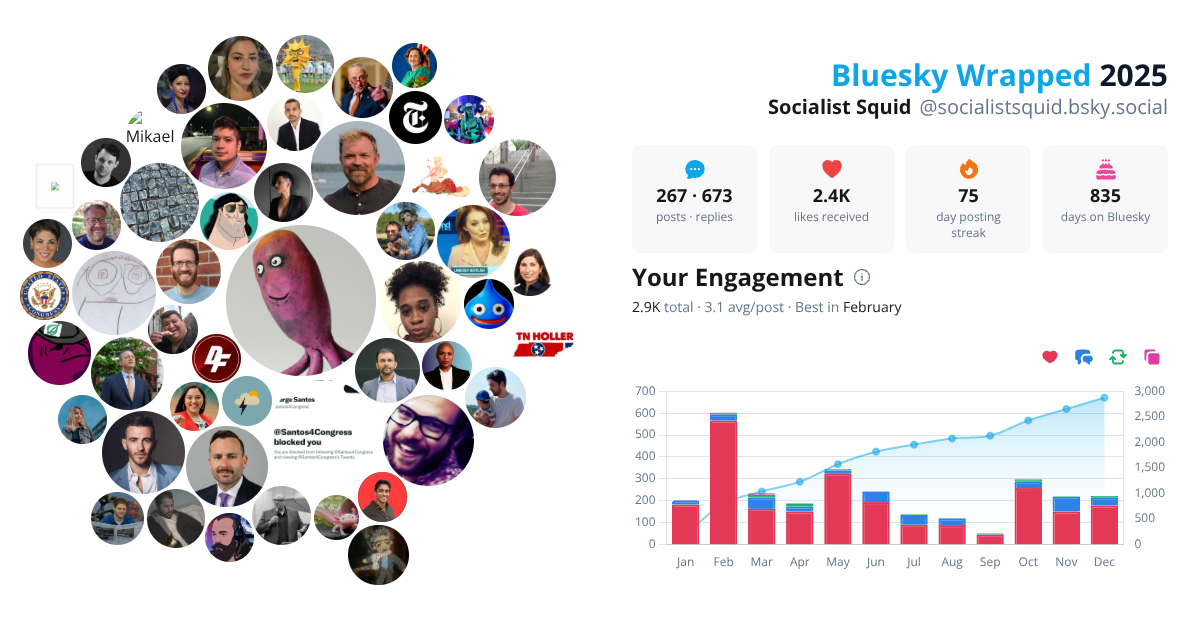 Your Bluesky Wrapped 2025 preview