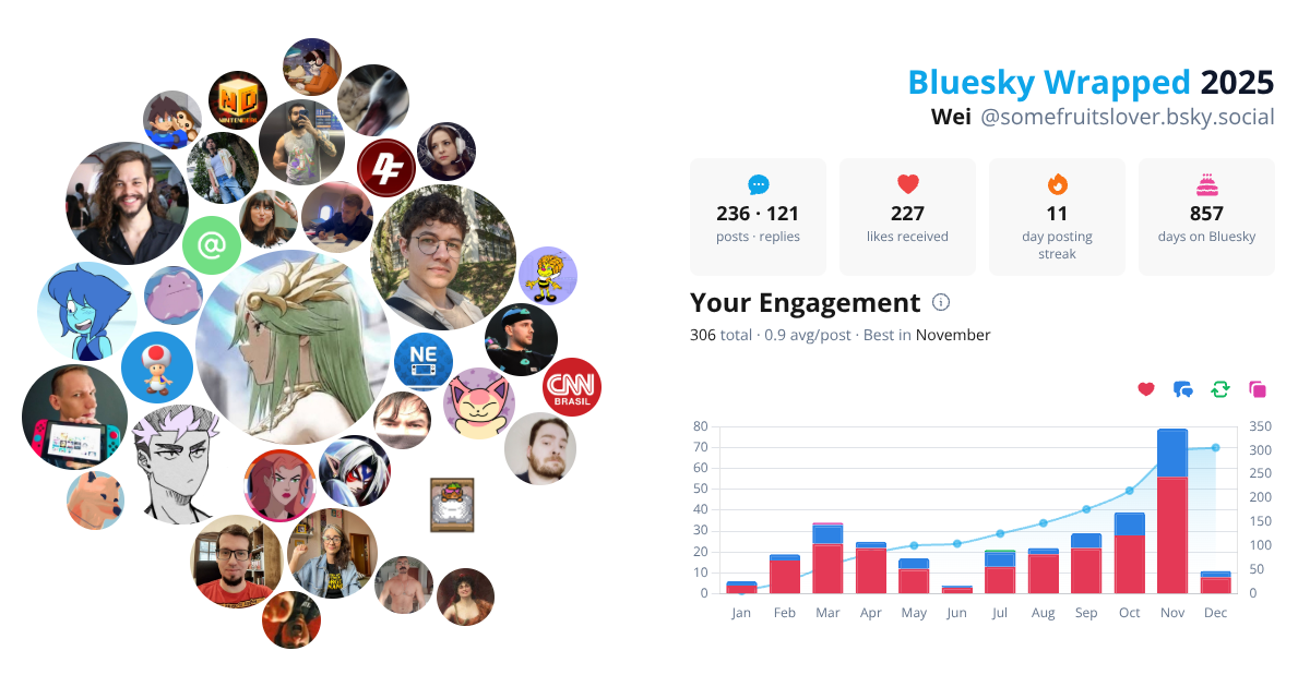 Your Bluesky Wrapped 2025 preview