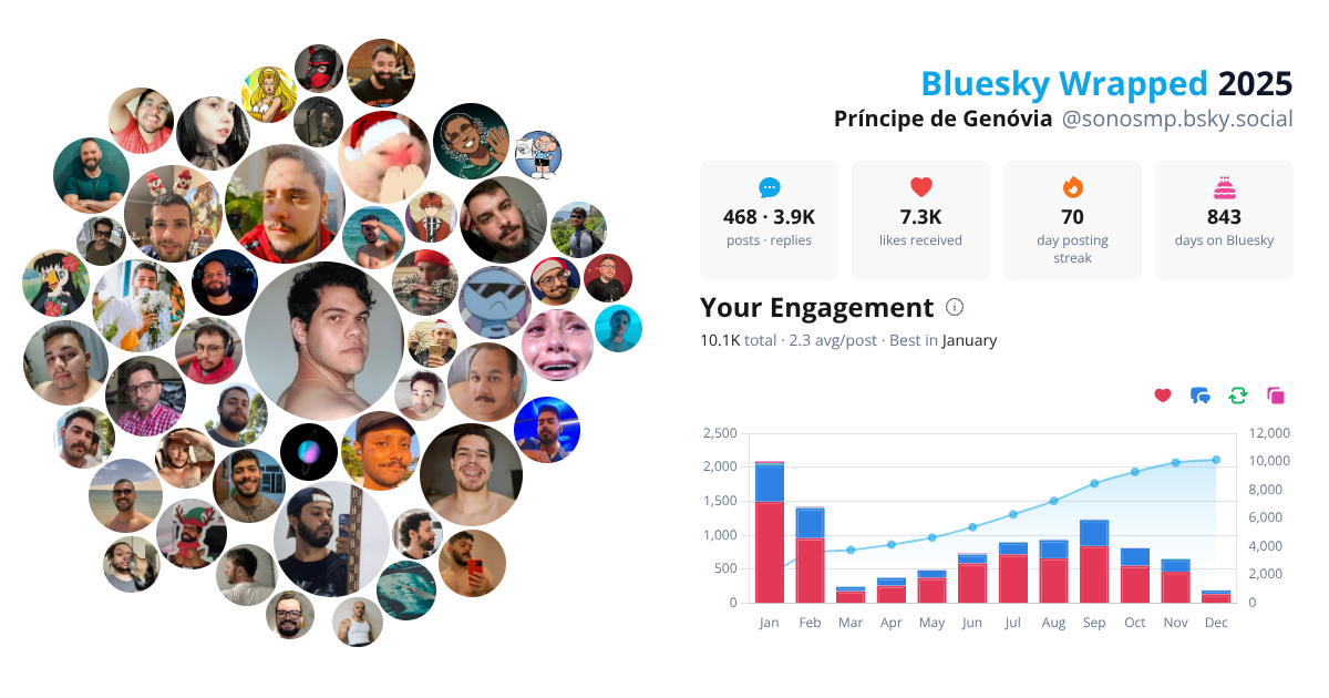 Your Bluesky Wrapped 2025 preview