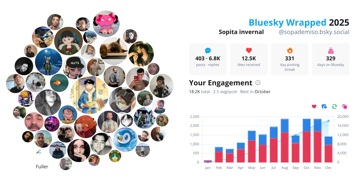 Your Bluesky Wrapped 2025 preview