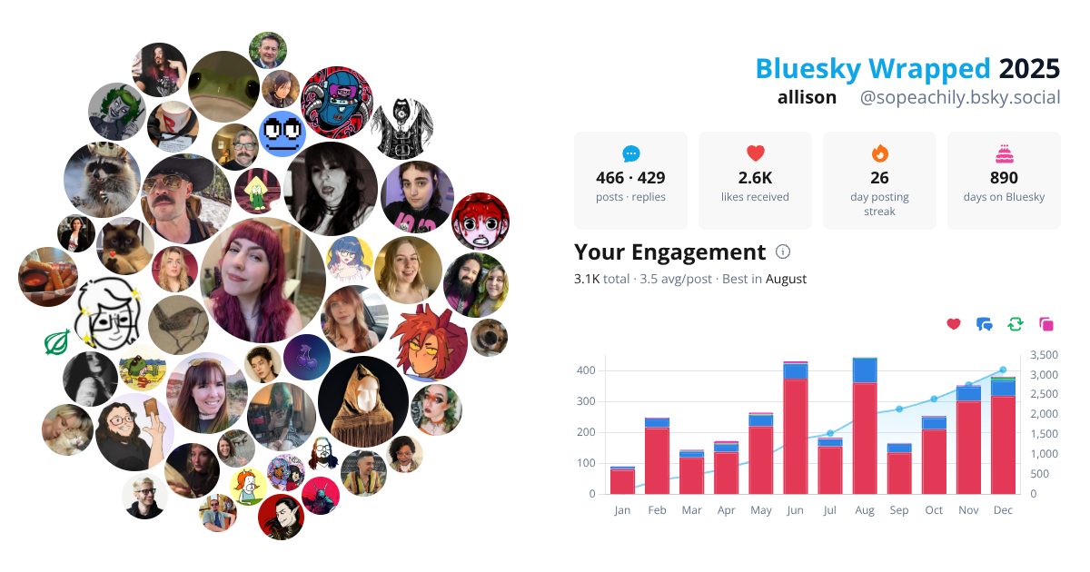Your Bluesky Wrapped 2025 preview