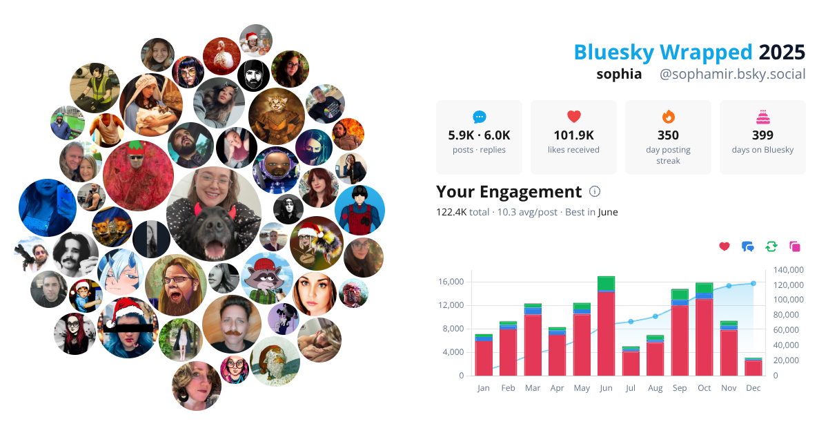 Your Bluesky Wrapped 2025 preview