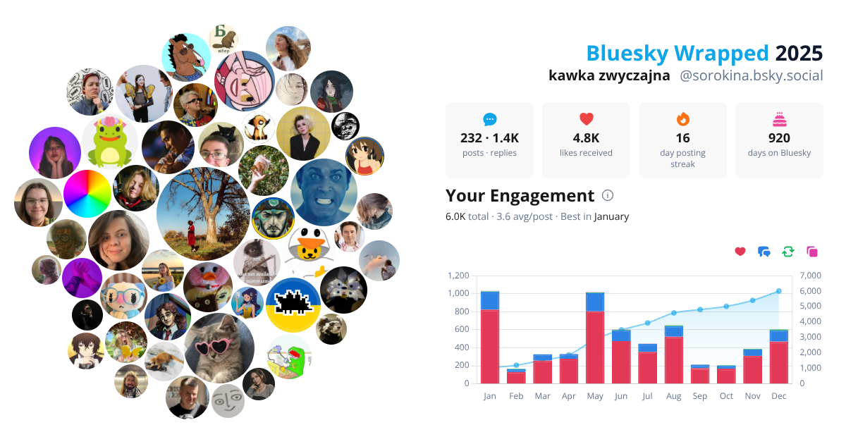 Your Bluesky Wrapped 2025 preview