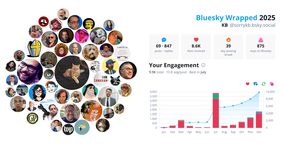 Your Bluesky Wrapped 2025 preview