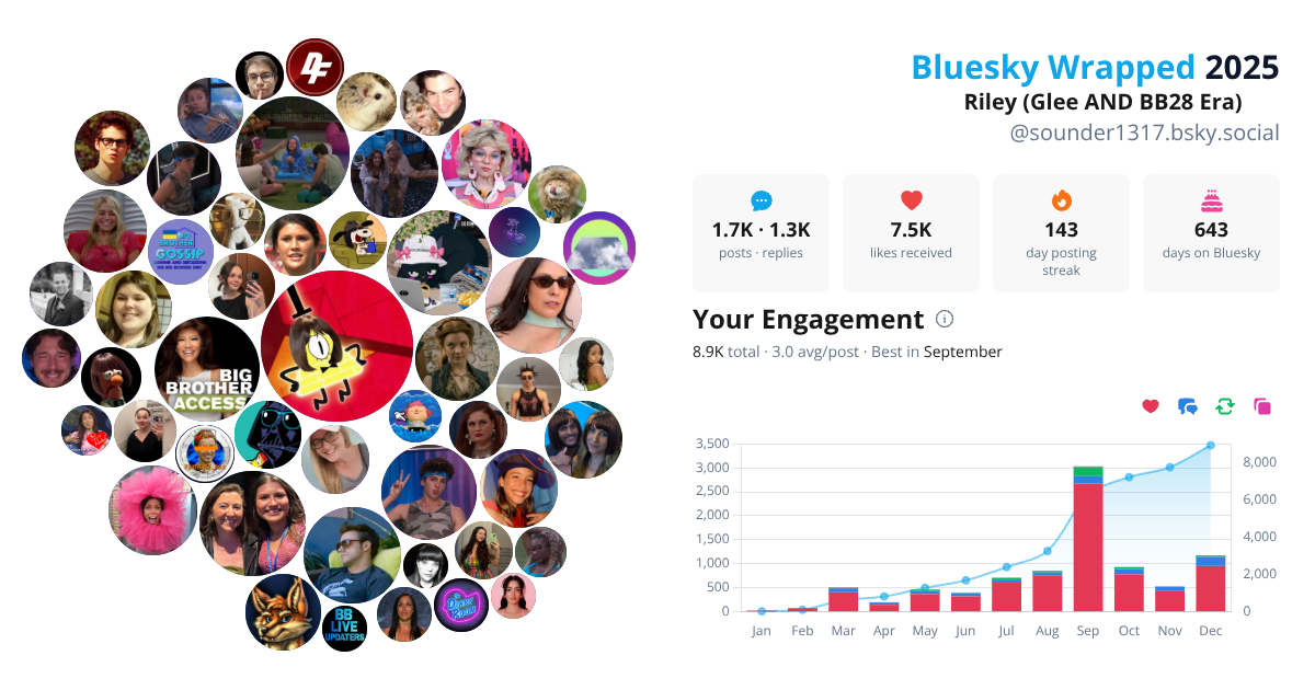 Your Bluesky Wrapped 2025 preview