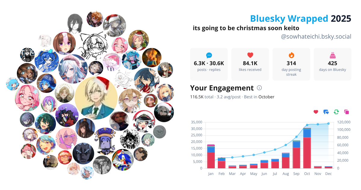 Your Bluesky Wrapped 2025 preview