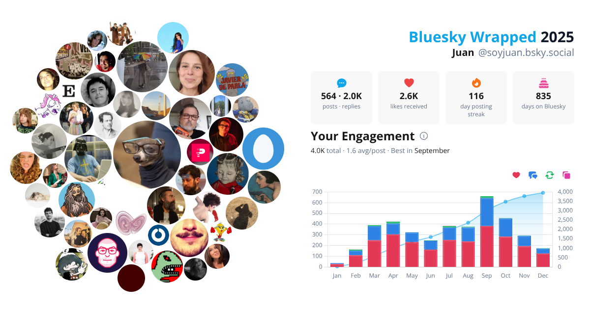 Your Bluesky Wrapped 2025 preview