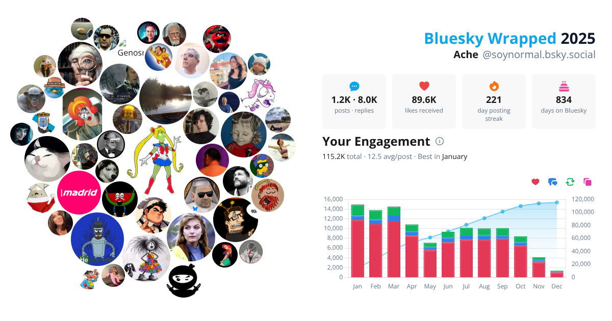 Your Bluesky Wrapped 2025 preview