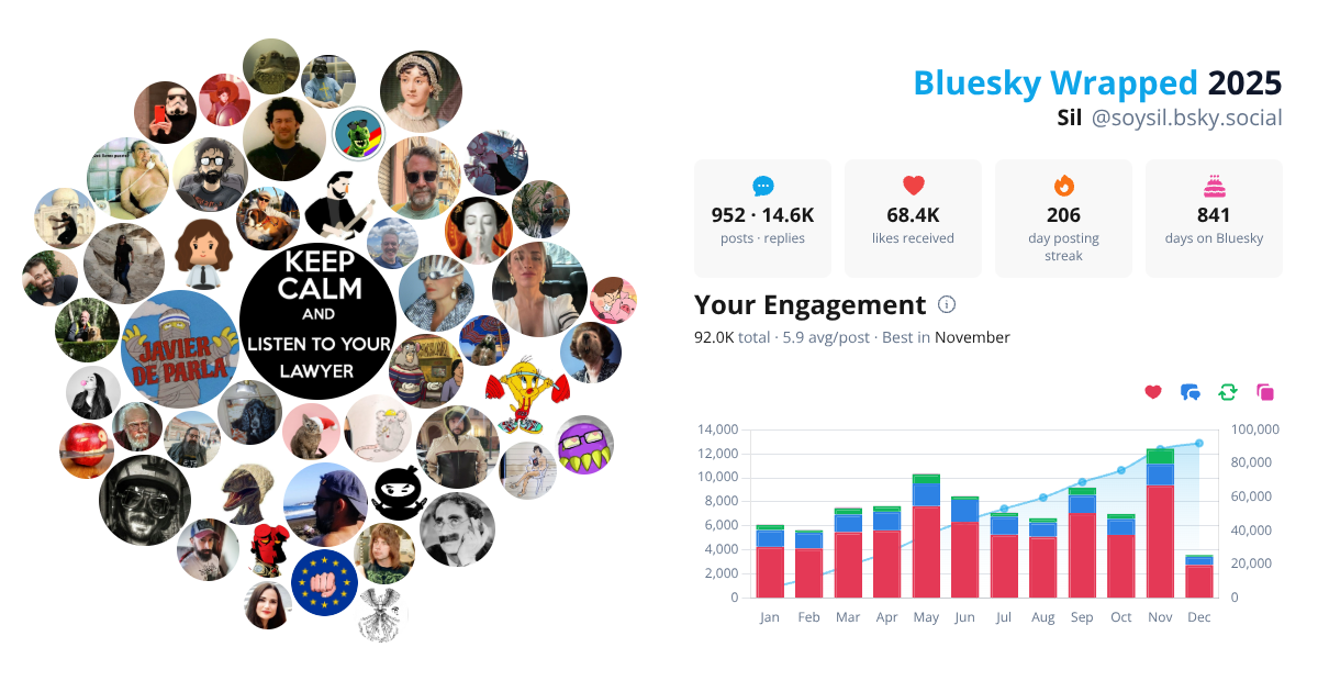 Your Bluesky Wrapped 2025 preview