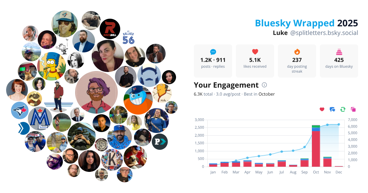 Your Bluesky Wrapped 2025 preview