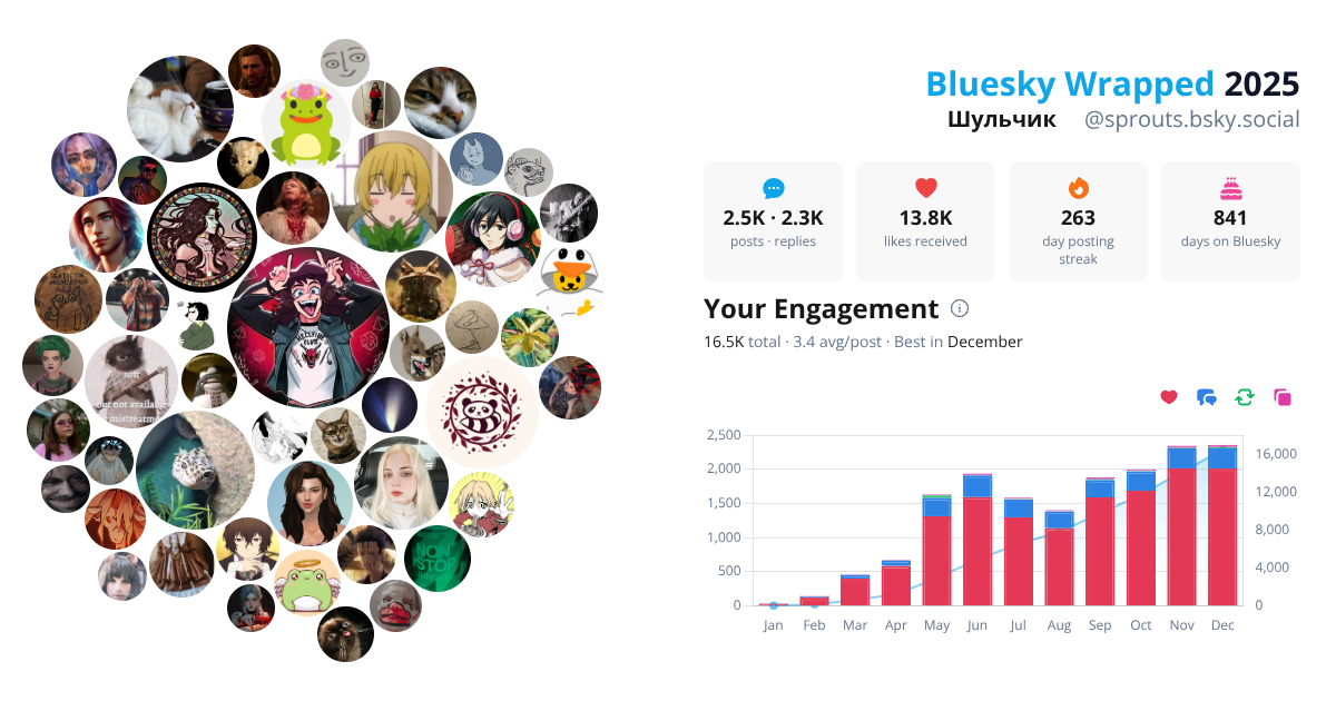 Your Bluesky Wrapped 2025 preview