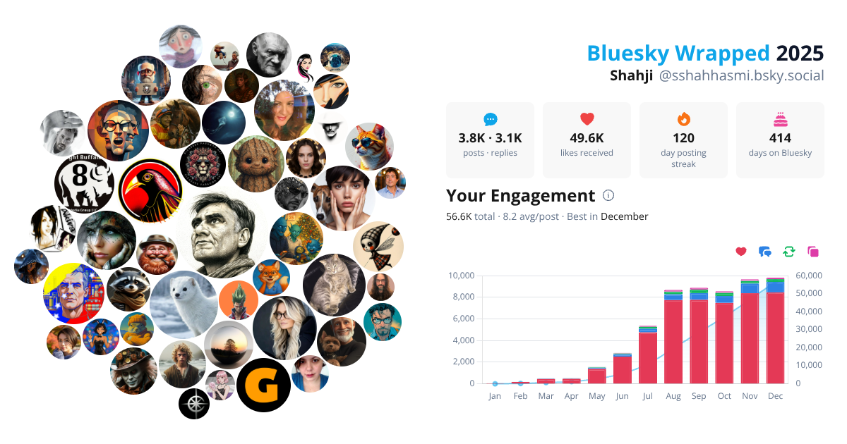 Your Bluesky Wrapped 2025 preview
