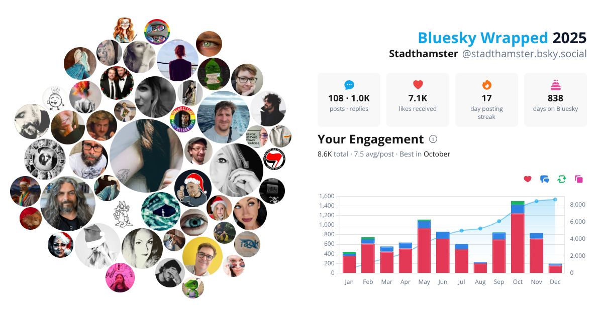 Your Bluesky Wrapped 2025 preview