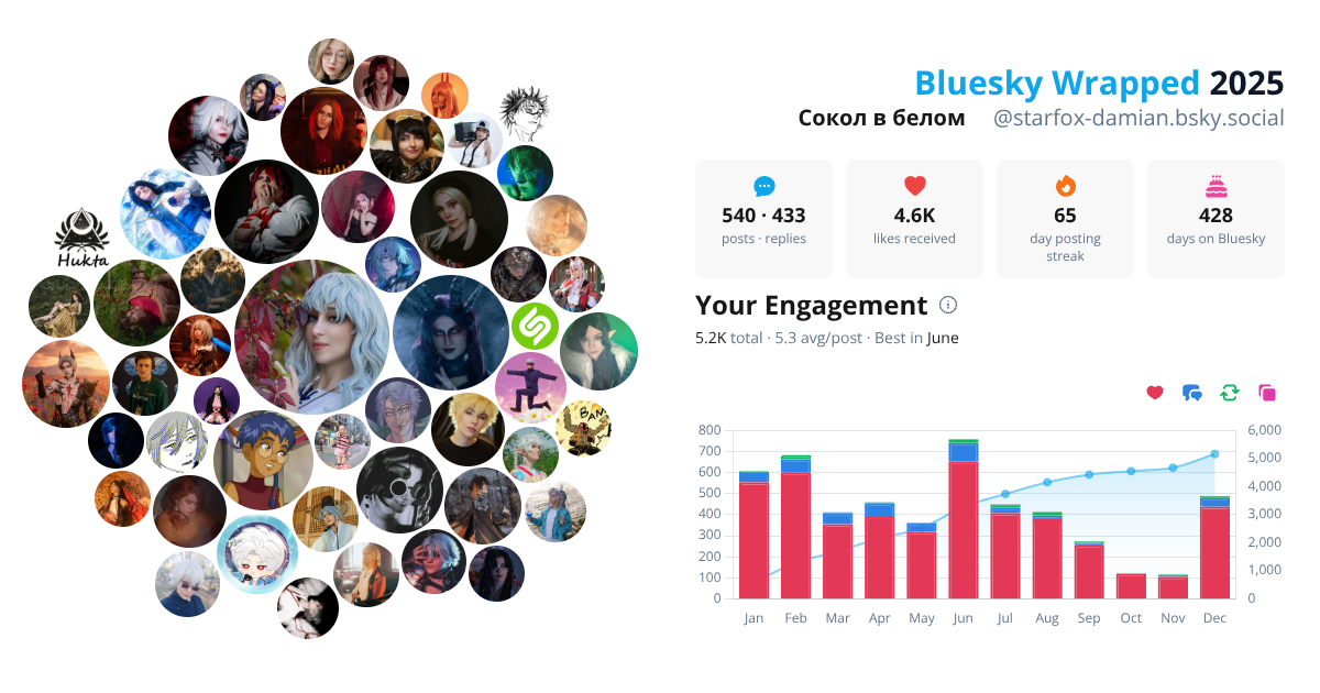 Your Bluesky Wrapped 2025 preview