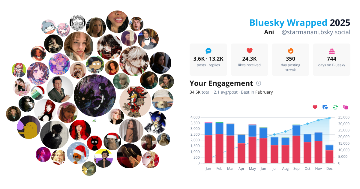 Your Bluesky Wrapped 2025 preview