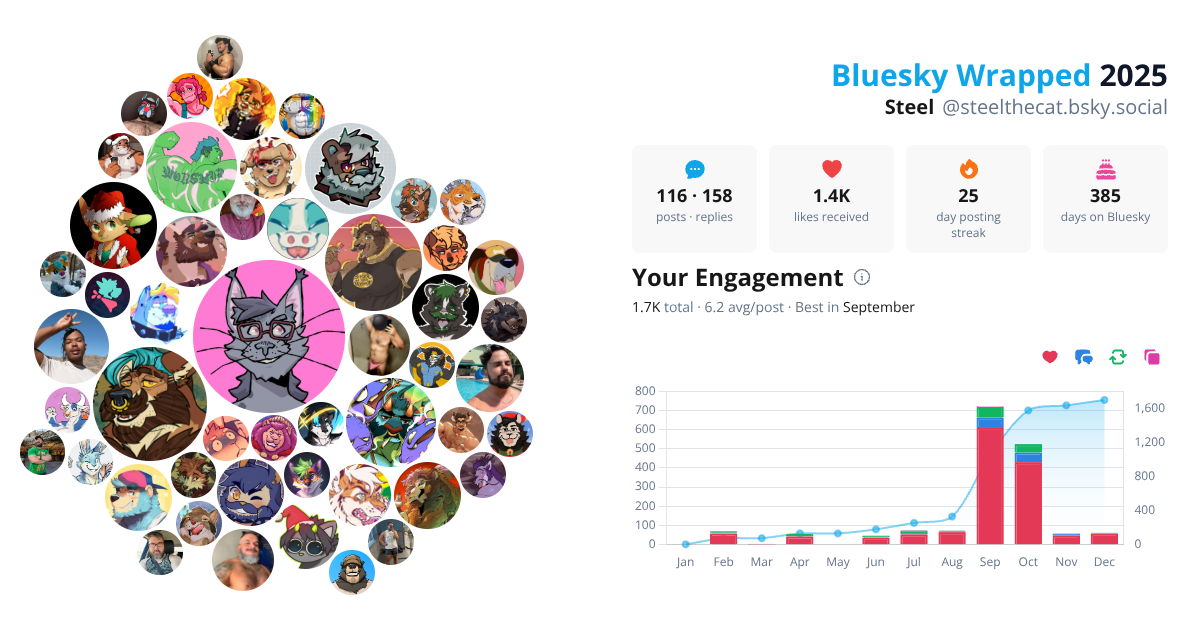 Your Bluesky Wrapped 2025 preview