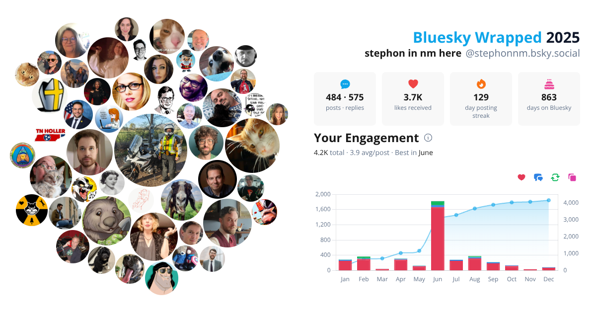 Your Bluesky Wrapped 2025 preview