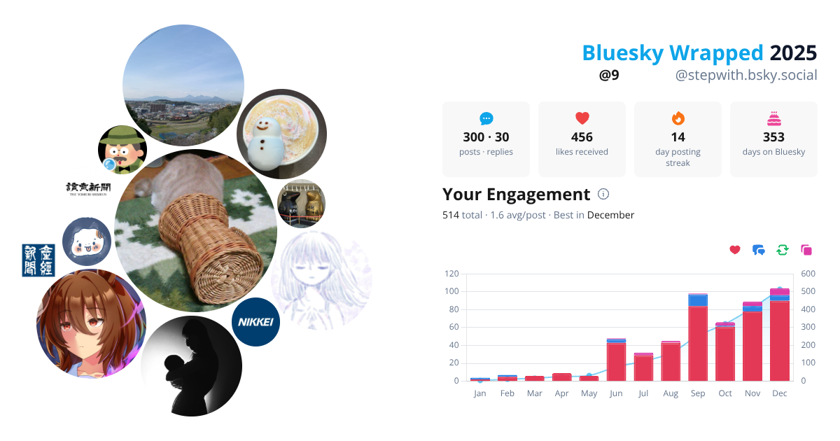 Your Bluesky Wrapped 2025 preview