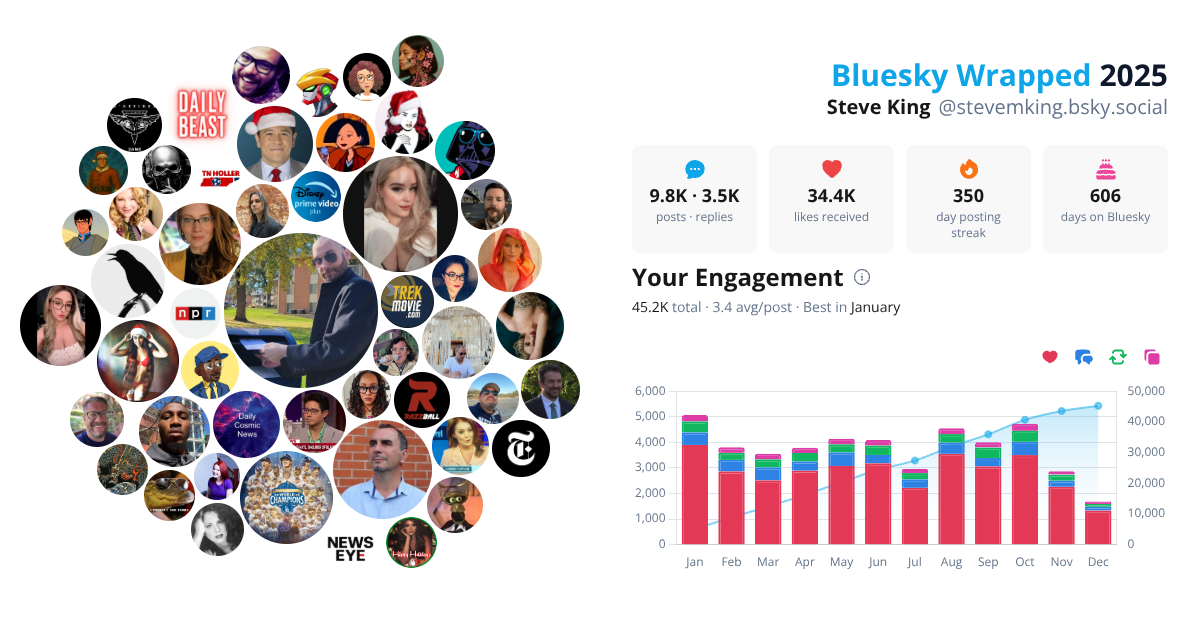 Your Bluesky Wrapped 2025 preview