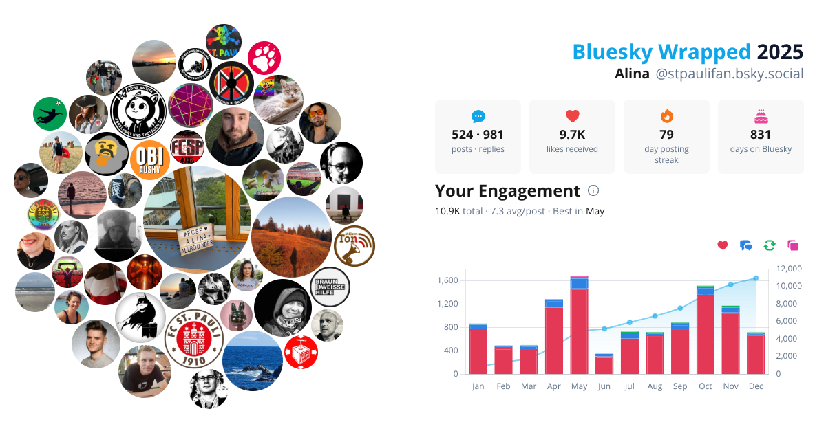Your Bluesky Wrapped 2025 preview
