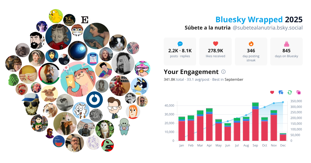 Your Bluesky Wrapped 2025 preview
