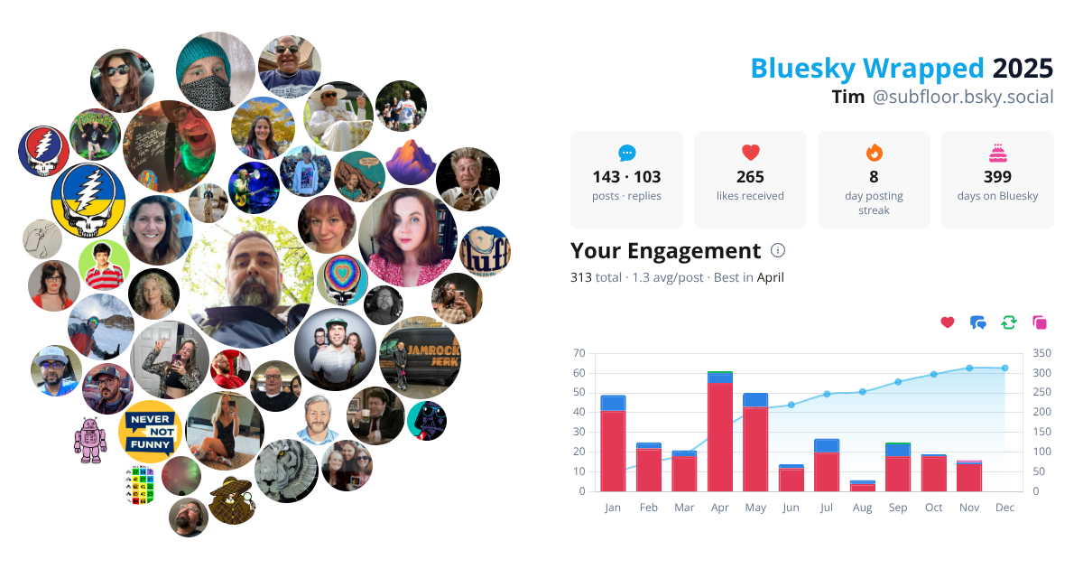 Your Bluesky Wrapped 2025 preview