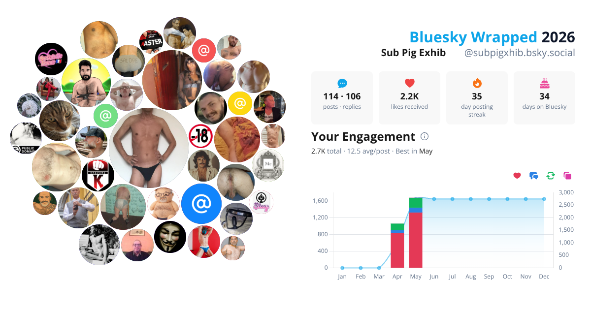 Your Bluesky Wrapped 2026 preview