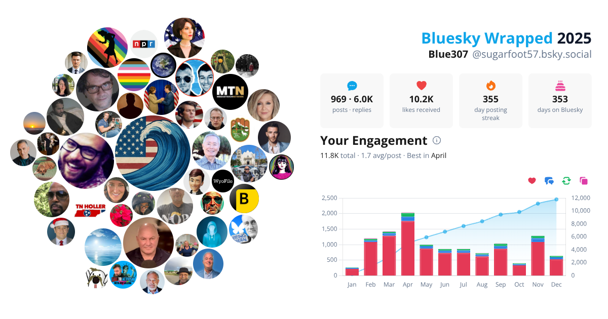 Your Bluesky Wrapped 2025 preview
