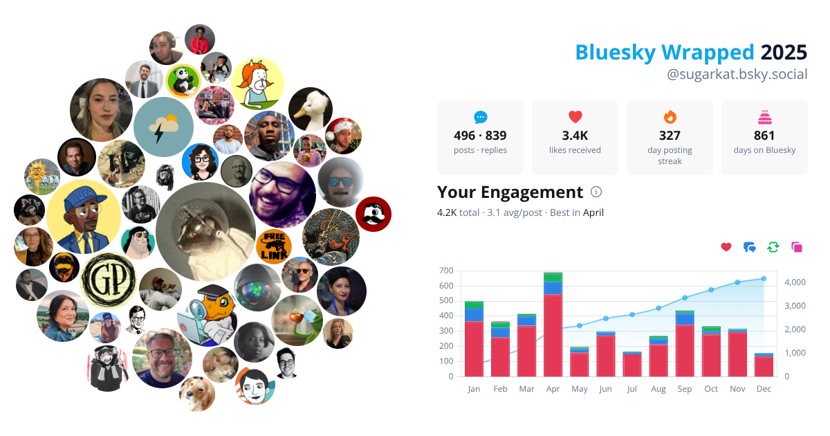 Your Bluesky Wrapped 2025 preview