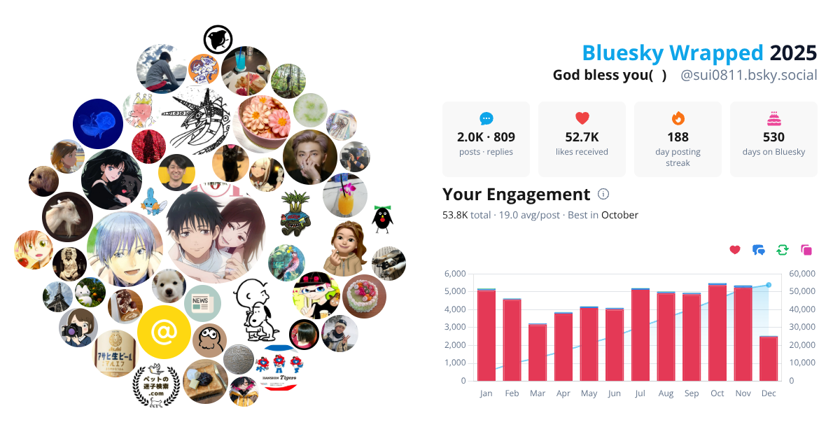 Your Bluesky Wrapped 2025 preview