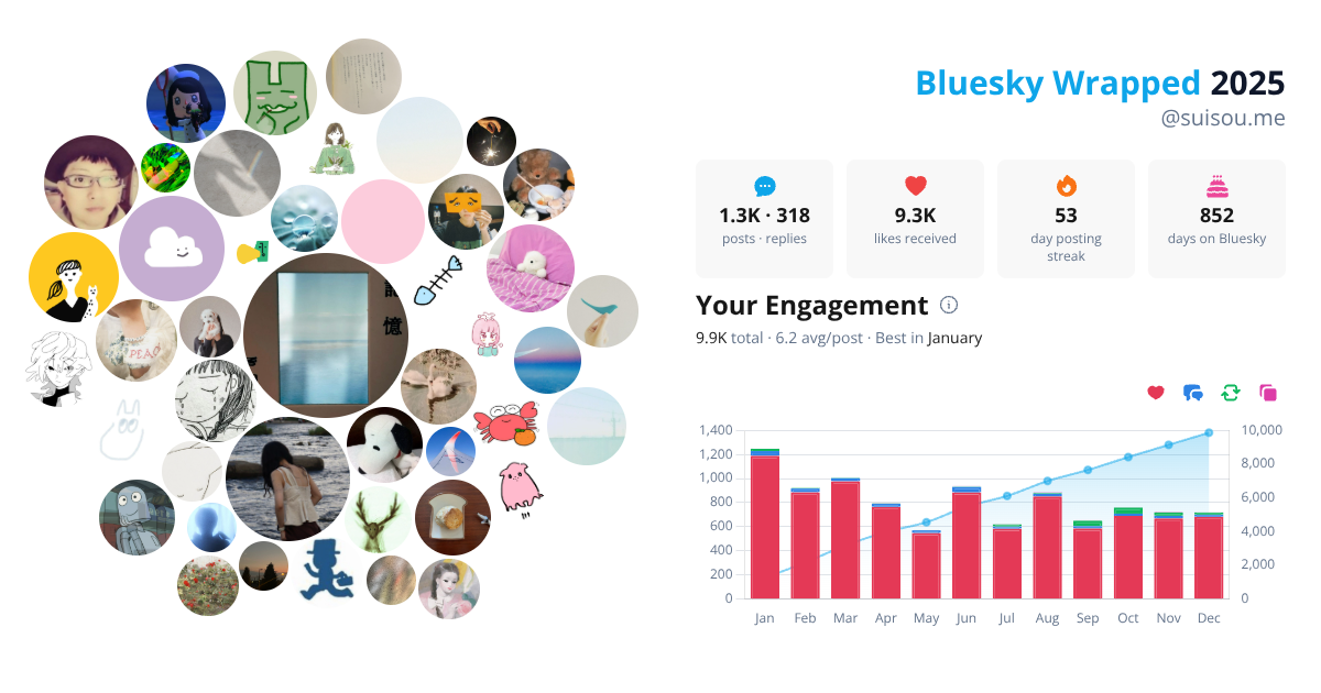 Your Bluesky Wrapped 2025 preview