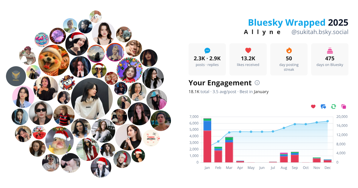 Your Bluesky Wrapped 2025 preview