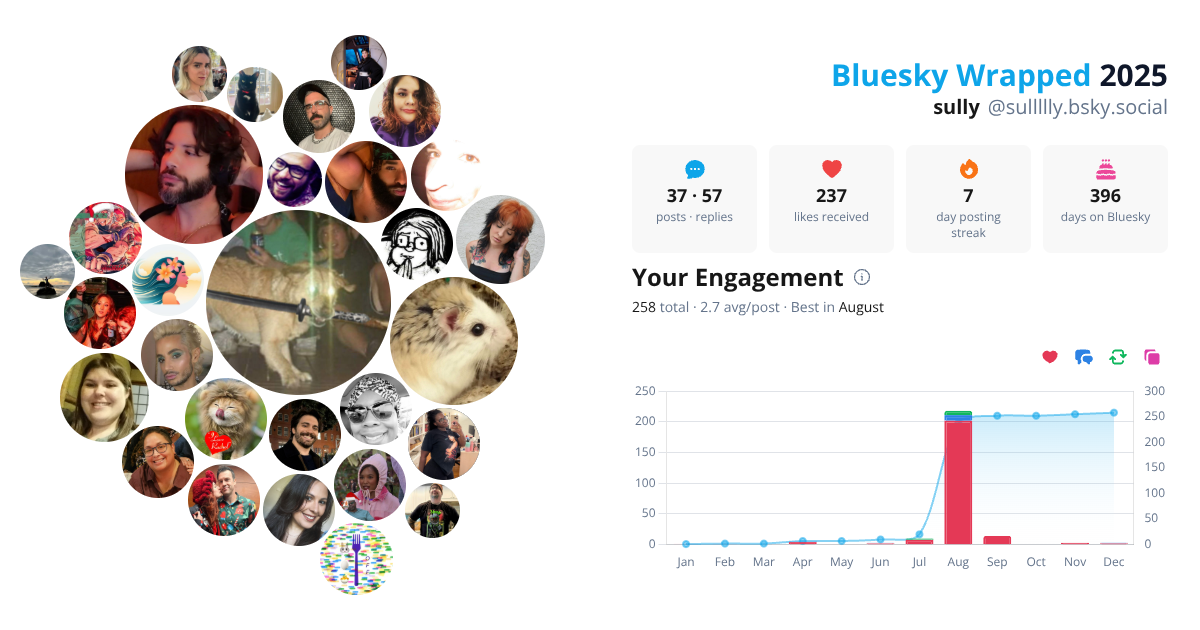 Your Bluesky Wrapped 2025 preview