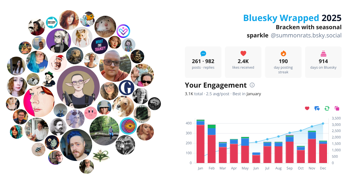 Your Bluesky Wrapped 2025 preview