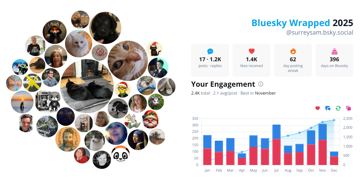 Your Bluesky Wrapped 2025 preview