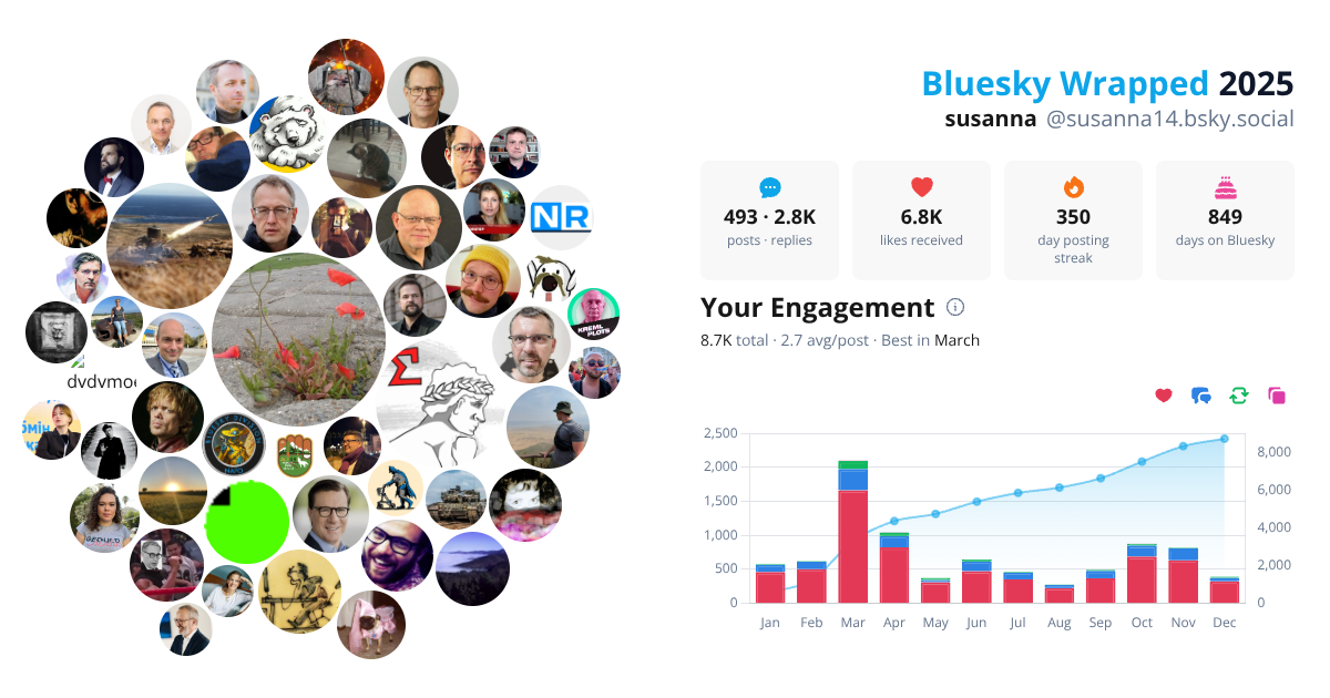Your Bluesky Wrapped 2025 preview