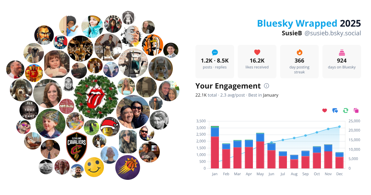 Your Bluesky Wrapped 2025 preview